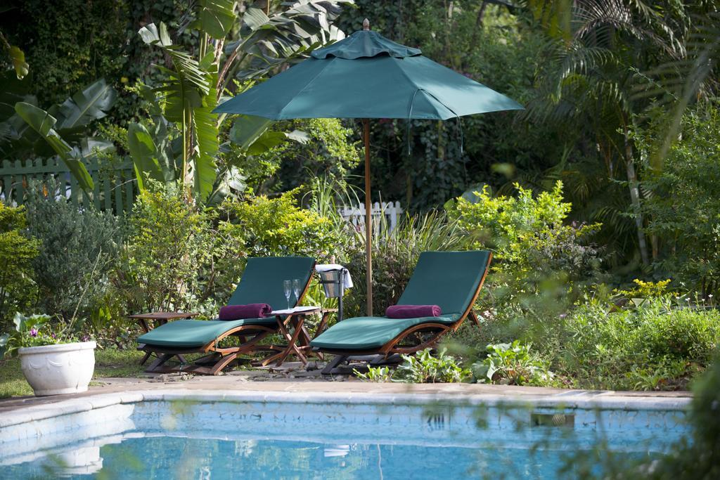 Hacklewood Hill Country House Порт Елизабет Екстериор снимка